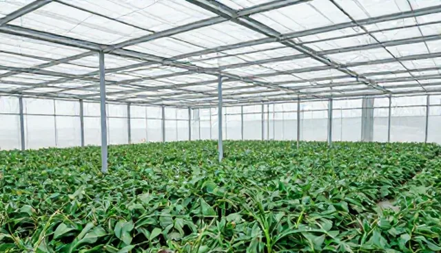 土建施工场景中的选型关注点分析